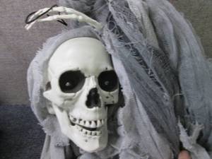 Spooky Hanging Skeleton Halloween D...
