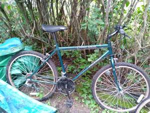 lot 132 image: Vintage Green Grand Teton F.S. Elite Bicycle