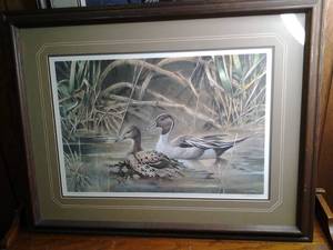 lot 284 image: Beautiful Framed and Matted Duck Wildlife Print 639950 