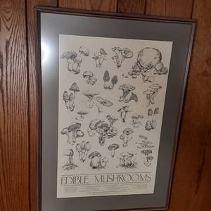 lot 235 image: Delightful Edible Mushrooms Framed Art 
