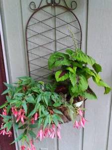 lot 135 image: Adorable Iron Outdoor Wall-Hanging Planter