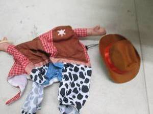 lot 85 image: spooktacular creations pet hallowee...