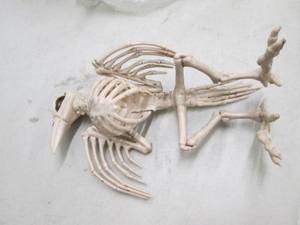lot 312 image: halloween decoration 12.5 pose and...