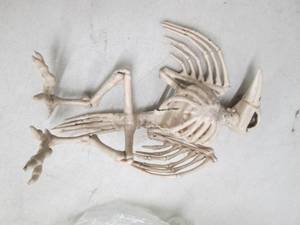 lot 313 image: halloween decoration 12.5 pose and...