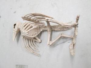 lot 314 image: halloween decoration 12.5 pose and...