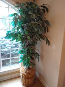 lot 33 image: Tall Fake Tree