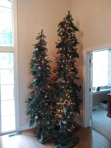 lot 10 image: Set of 3 Giant Trees