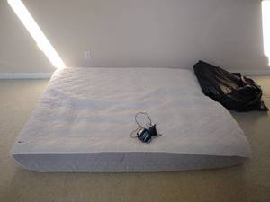 lot 99 image: Air Mattresses & Pump