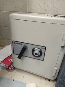 lot 431 image: sentry 1310 Safe