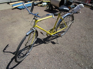 Schwinn Bike