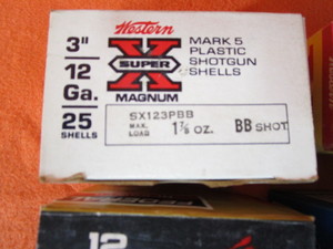 12 ga. Shotgun Shells