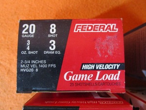 20 ga. Shotgun Shells