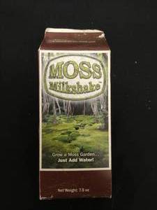 Intermatic Raintight Outdoor Timer and Moss Milkshake