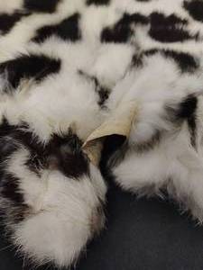 Two Spotted Pelts