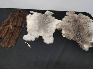 Three Pelts