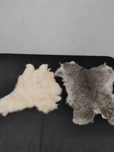 Two Pelts