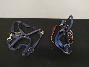 Two Horse Bridals