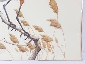 Signed Print
