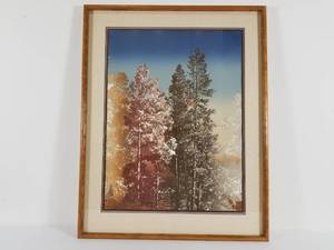 Vintage Print