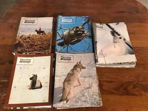 lot 123 image: Wyoming Wildlife Magazines