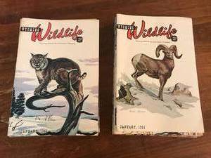 lot 27 image: Wyoming Wildlife Magazines 1963 & 1964 Complete