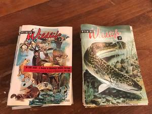 lot 31 image: Wyoming Wildlife Magazines 1965 & 1966
