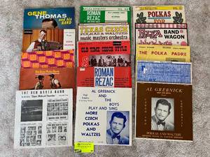 lot 99 image: Lot of 15 Various Polka Vinyl LP Records