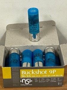 lot 124-B image: (10) Rounds Of NSI Low-Recoil Defen...