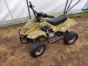 lot 16 image: Kids 4 wheeler. 110cc, starts runs and drives good.