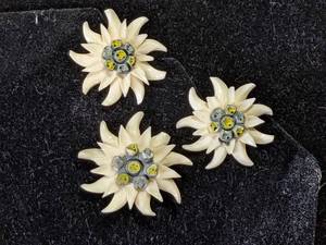 WWII Carved Bone Edelweiss Brooch & Clip-On Earrings
