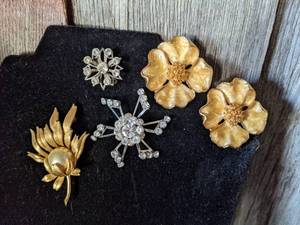 Large Enameled Gold Tone Clip Earrings & 3 Brooches