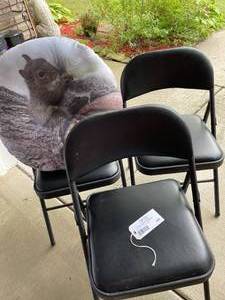 lot 439 image: Black Folding Chairs and Squirrel Pillow