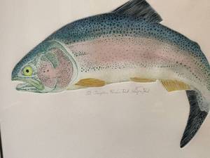 lot 460 image: Jumping Rainbow Trout Picture