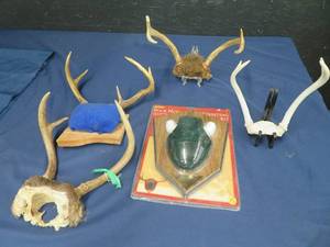 lot 31 image: LOT OF 4 DEER ANTLERS AND A MOUNTING KIT