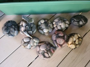 lot 105 image: Planter Boxes and Decorative Rocks