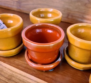 lot 107 image: Herb Pots and Watering Cans