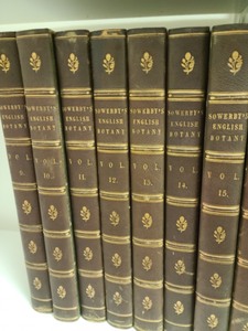 lot 169 image: Sowerbys English Botany Books