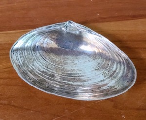 lot 196 image: Wallace Sterling Silver Shell Dishes