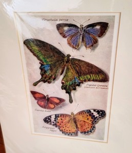 lot 221 image: Assorted Unframed Prints