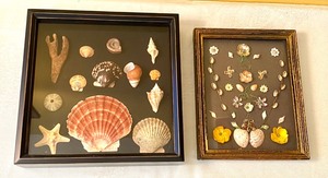 lot 193 image: Two Decorative Seashell Shadow Boxes