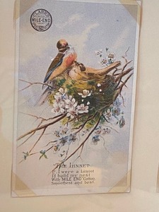 lot 191 image: Vintage Bird Decor including Clarks Spool Thread Advertising Framed Postcards