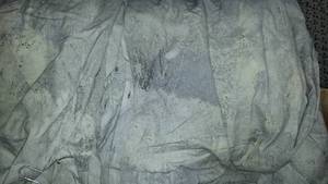 lot 87 image: Muslin Back Drop (2) Blues and Tans.