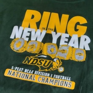 lot 181 image: Stadium Blanket, Bison Hat and Shirt.
