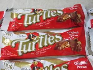 lot 47 image: (B-2) 20 Turtles Original Pecan Can...