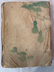 lot 363 image: Vintage Cloth Book from 1896
