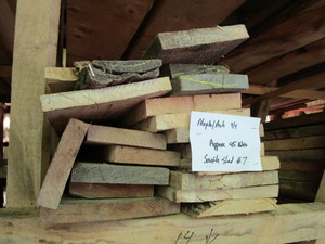 Maple & Ash