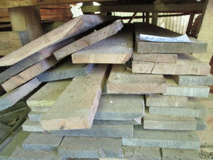 Red Oak