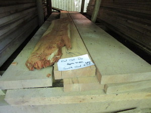 Red Oak