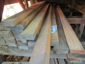 Pine