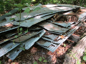 Salvaged Barn Tin
